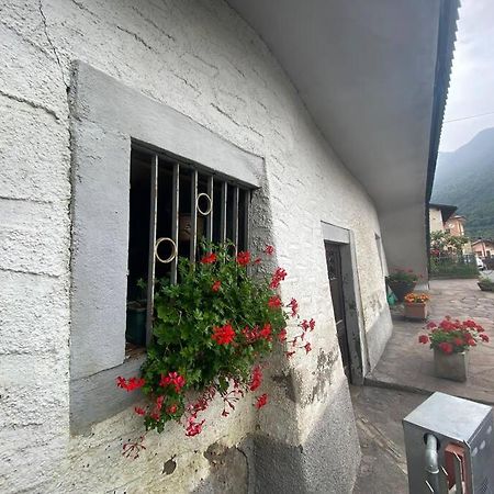 Casa Vacanze Il Pettirosso. ปิโซเญ ภายนอก รูปภาพ
