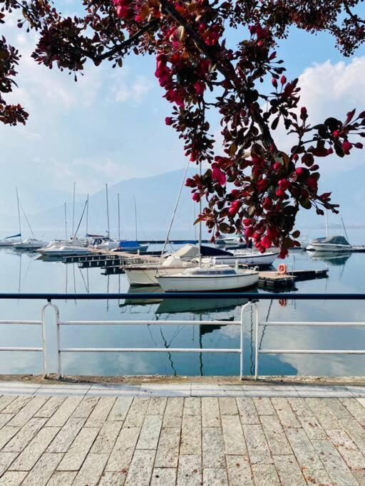 Casa Vacanze Il Pettirosso. ปิโซเญ ภายนอก รูปภาพ