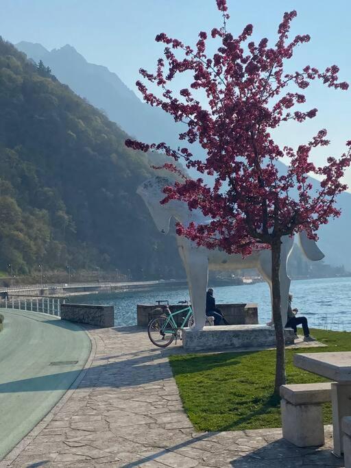 Casa Vacanze Il Pettirosso. ปิโซเญ ภายนอก รูปภาพ