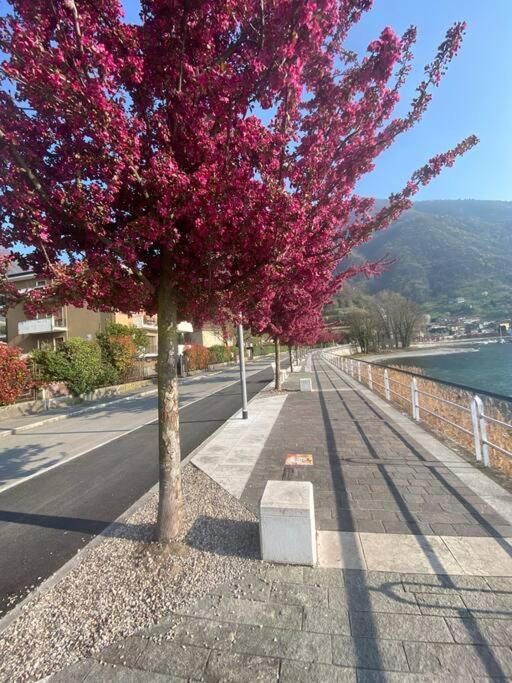 Casa Vacanze Il Pettirosso. ปิโซเญ ภายนอก รูปภาพ