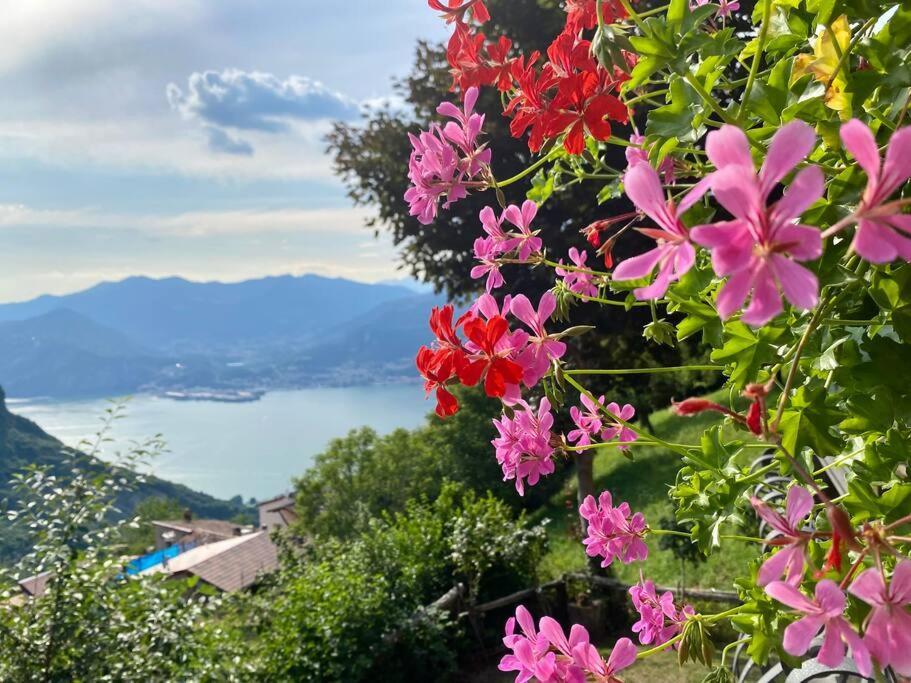 Casa Vacanze Il Pettirosso. ปิโซเญ ภายนอก รูปภาพ